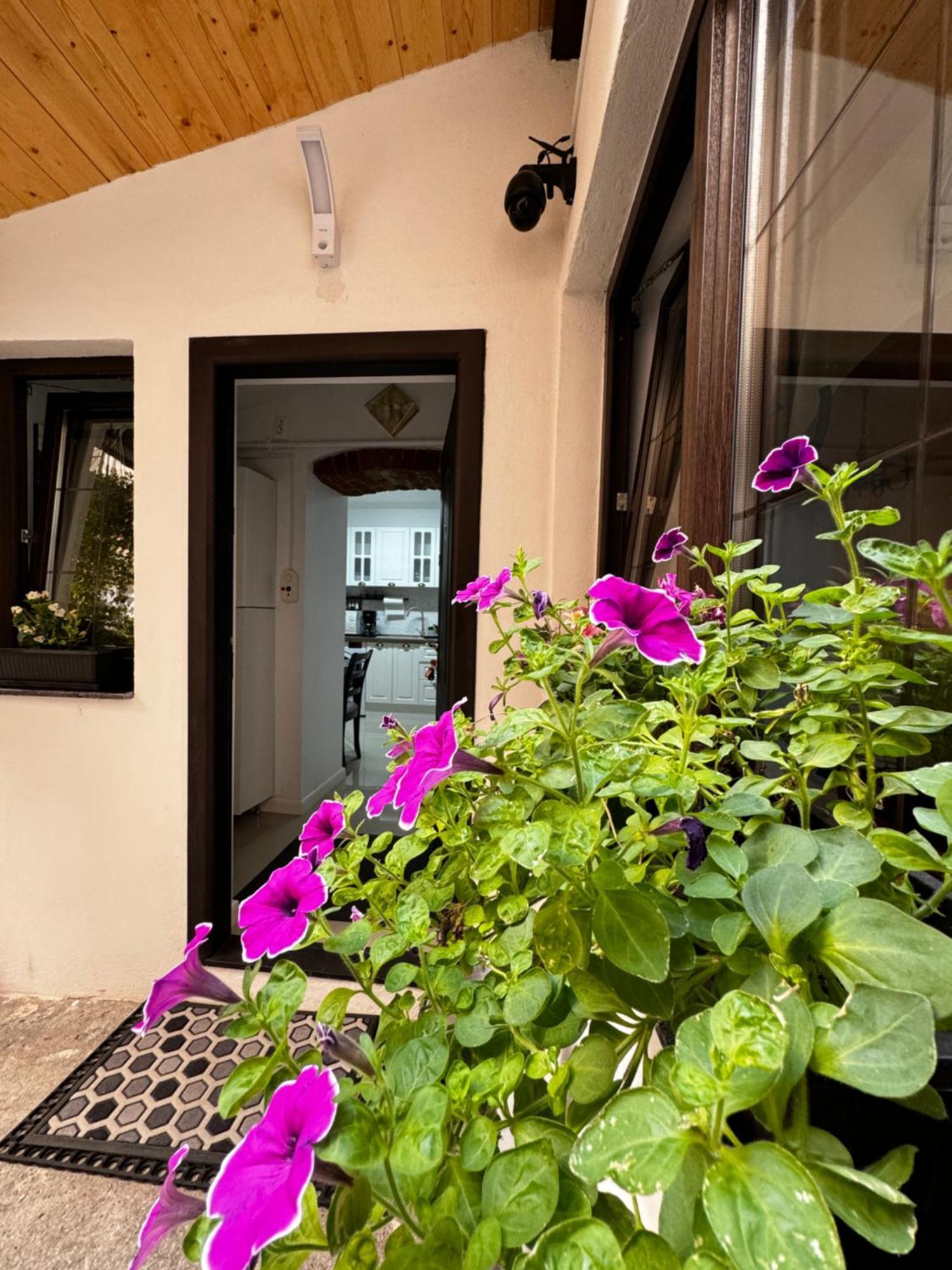 סיביו Balcescu Central Residence מראה חיצוני תמונה